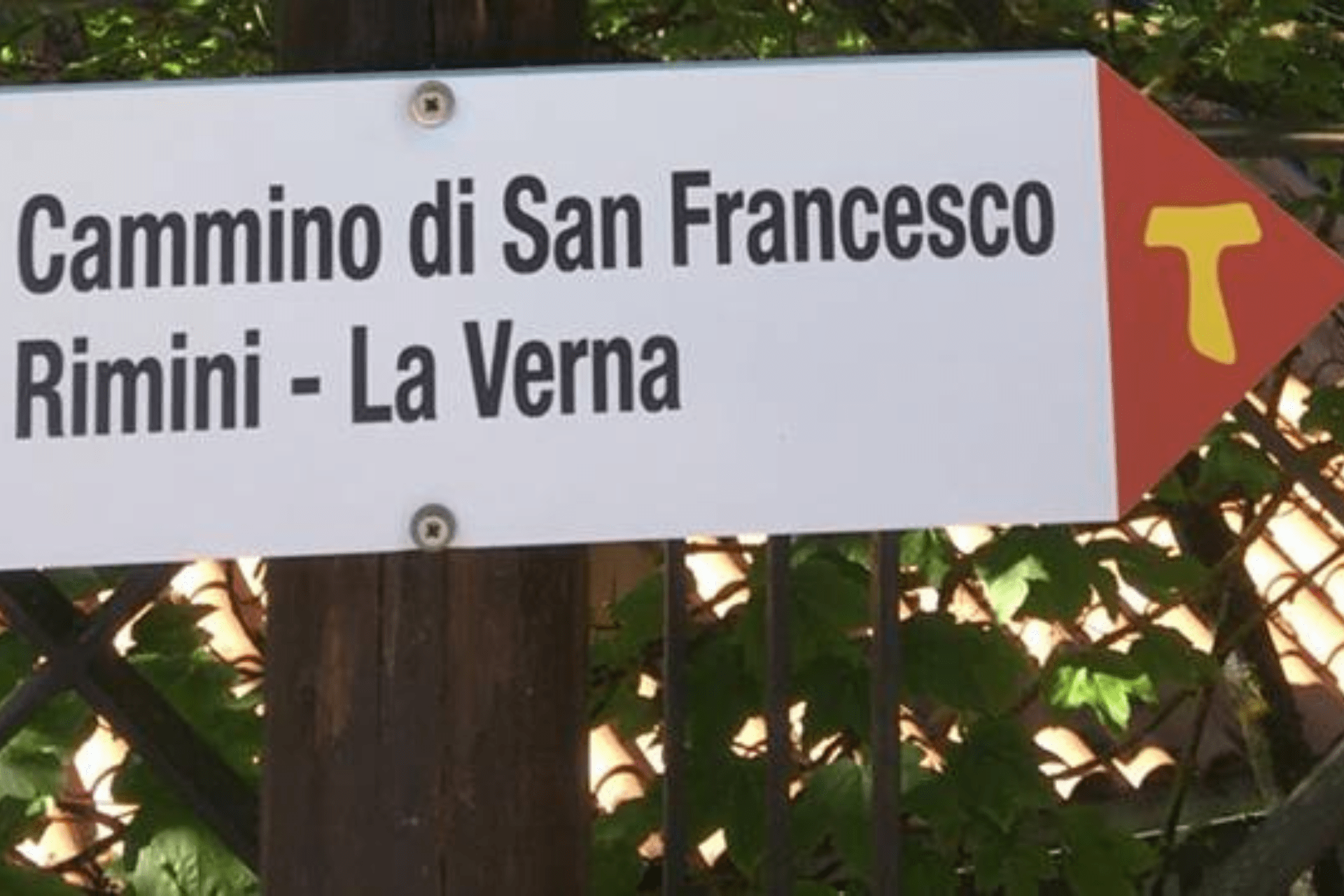 Il Cammino di San Francesco: da Rimini a La Verna, un percorso di fede, natura e storia