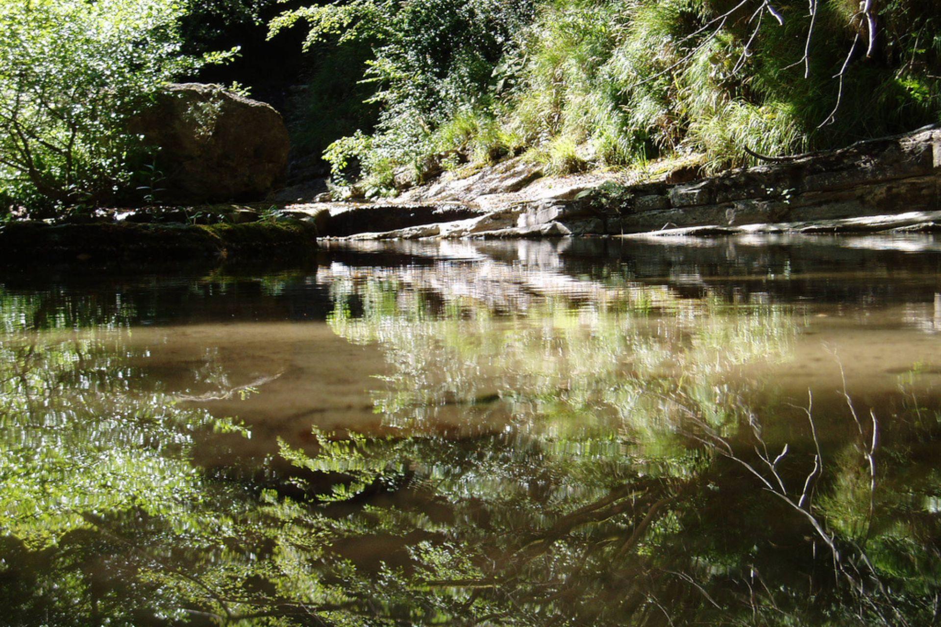 Acquacheta: tra natura, storia e letteratura